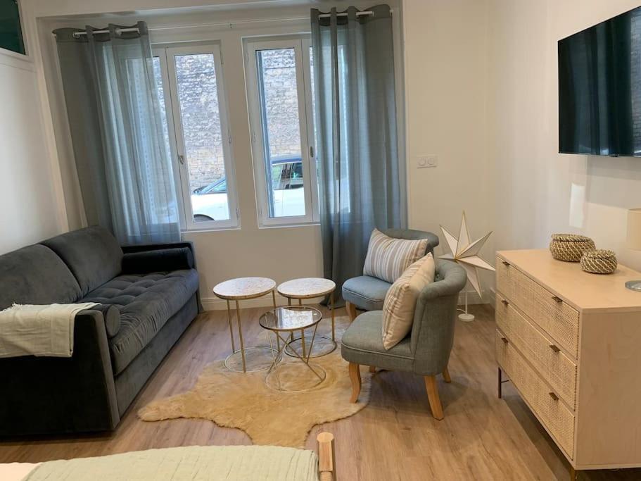 דיז'ון Appartement Chaleureux מראה חיצוני תמונה