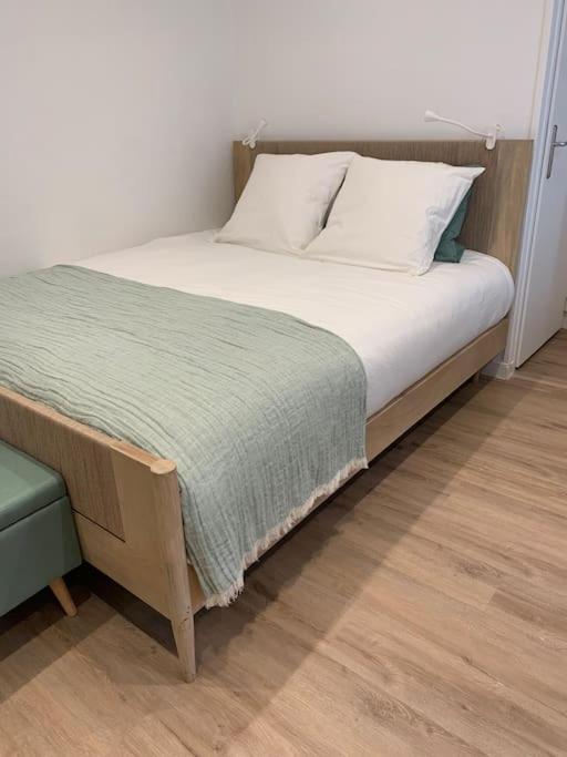 דיז'ון Appartement Chaleureux מראה חיצוני תמונה